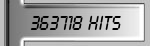 363718 Hits